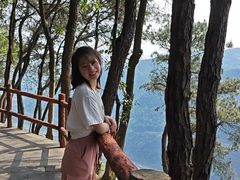 -铁山坪森林公园