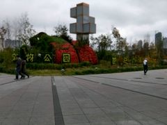 花坛-世纪广场