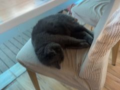 -春笙食堂.丼饭拉面寿司(GOGO新天地店)