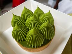 抹茶挞-猫里有甜