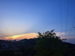 -老幺泉水鸡