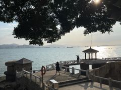 -苏小糖(鼓浪屿三丘田花园店)