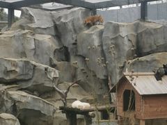 -武汉动物园