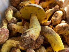 -双喜农庄·菌香园(安居家园店)