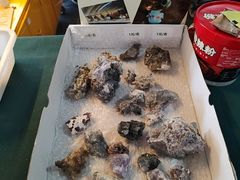 -房山世界地质公园博物馆