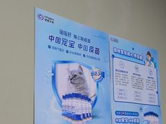 -半岛宠物医院24小时(白果林店)