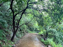 -北京西山国家森林公园