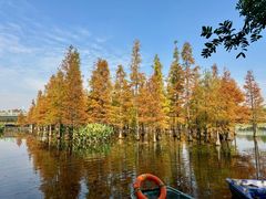 -白鹭湾湿地公园