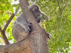 -费瑟代尔野生动物园