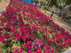 -广州莲花山旅游区