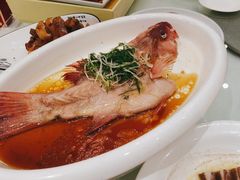 -沪华海鲜大酒楼(南汇店)