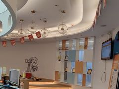 -科晓兔外教英文·数学思维·乐高编程·科学实验(怡山校区)
