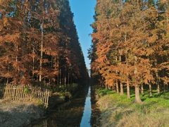 -东平国家森林公园