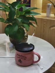 -芳朵美容养生SPA