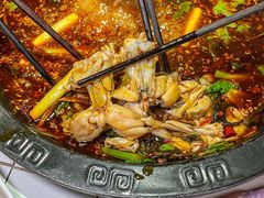 -费明中罗非鱼(大石坝店)