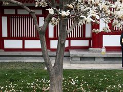 -大慈恩寺(大雁塔)