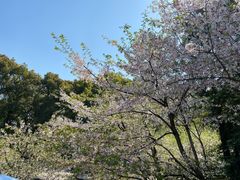 -南山植物园