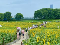 -苏州湾体育公园