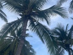 -三亚亚龙湾美高梅度假酒店FUN动冲浪