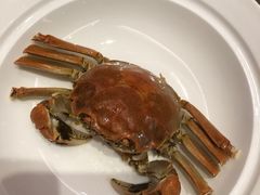 -王宝和酒家(黄浦店)