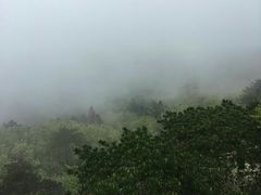 -罗田薄刀峰风景区