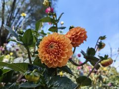 -沈阳植物园