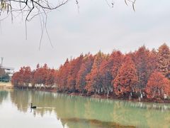 -瑶湖湿地自然保护区