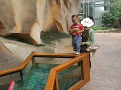 -杭州开元森泊度假乐园