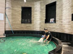 -绿城千岛湖喜来登度假酒店