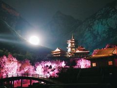 -禅宗少林·音乐大典