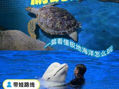 -石家庄极地海洋世界