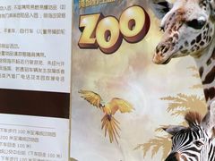 -常州淹城野生动物世界