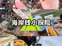 -野狸岛