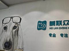 -美联众合动物医院·24h转诊中心