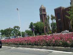 -青龙山国家森林公园