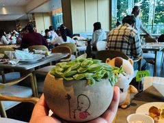 -上海佘山世茂艾美酒店