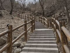 -白水寺森林公园
