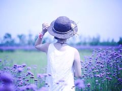 -杭州湾海上花田景区