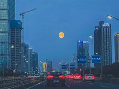 -古乐牛香·鲜牛肉牛杂火锅(高新店)