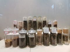 -广东中医药博物馆