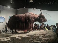 -中国湿地博物馆