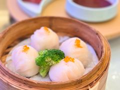 -新君悦国际酒店