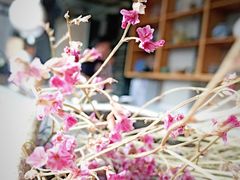 -泓0871臻选云南菜·味庄