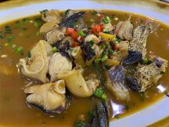 -全乐鱼馆·淳牌有机鱼直营店