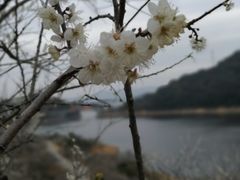 -广州市流溪河国家森林公园