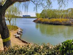 -大兴滨河森林公园