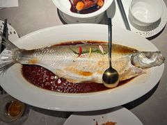 -醉庐·新上海菜(南京西路店)