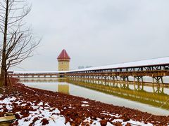 -九龙湖公园