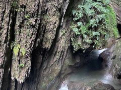 -龙水峡地缝景区