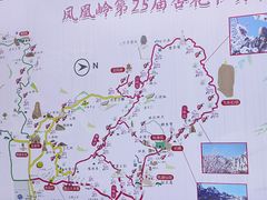 -北京凤凰岭